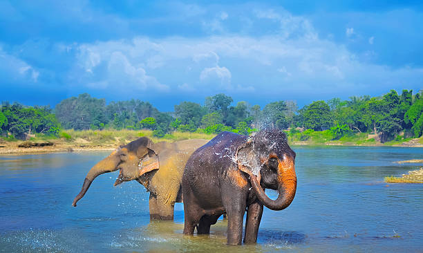 POKHARA TO CHITWAN: (approx. 5 hours)
