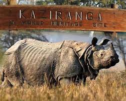 Arrival in Guwahati – Transfer to Kaziranga National Park