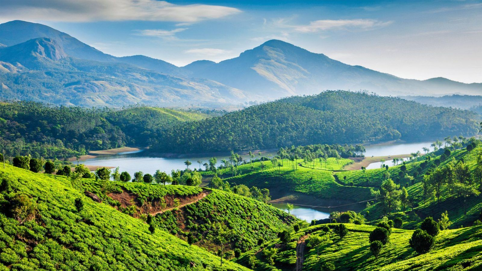 Arrival at Cochin and Transfer to Munnar. Munnar is 1800 mts above sea level and also the home of South India's Highest Peak (Anamudi-2695 mts). On the way to Munnar visit Vaplara, Upon arrival at Munnar Transfer to Hotel. Check in at Hotel. Afternoon visit Rajamala (eravikulam National Park - open as per the directions by the forest authorities ), the Best Place to see NilgiriTahr (Hermitragus Hilarious)- the Mountain goat of South India. You May visit the Tea Museum Surrounded by tea Gardens- the only Museum of its kind; which illustrates the timeworn Method of Tea Production. Overnight stay at Munnar.