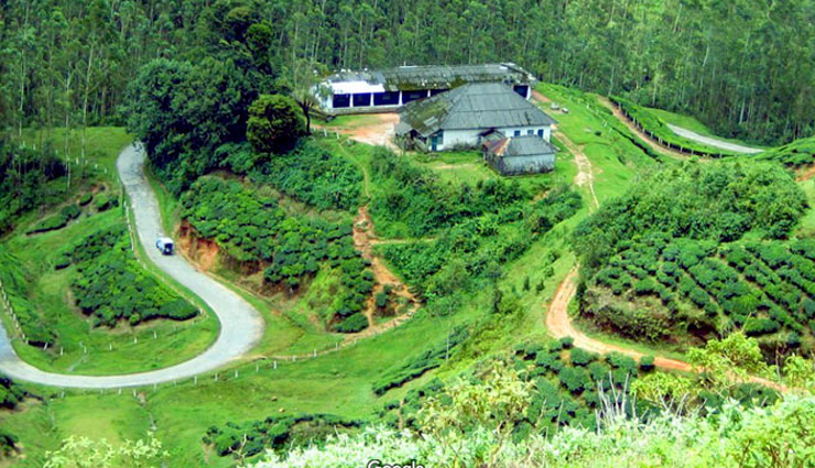 After Breakfast Proceed for Sightseen of Munnar. Mattupetty Dam, Echo Point, Kundala Dam, Pothenmedu View Point, Blossom Park , Cheeyappara Waterfalls and Tea Plantations. etc are some of the highlights of the sightseeing. Shopping & overnight stay at Munnar.