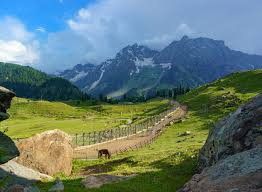After breakfast at Hotel you will be proceed to Srinagar Airport to catch your Flight for your onward destination with sweet holiday Memories.