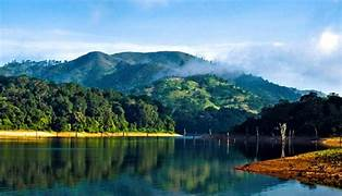 After Breakfast Transfer to Thekkady , Drive through one of those most picturesque hill highways of Kerala. Thekkady, also known as Periyar is a world famous wildlife sanctuary and one ofthe 48 Tiger reserves in India . On arrival check in At Hotel. Afternoon proceed for 1½- hour game viewing cruise around the Periyar Lake which is the main way to tour the sanctuary. Here you will be able to see a large variety of wildlife, which include elephants, monkeys, deer, wild boar etc. Overnight stay at Thekkady .