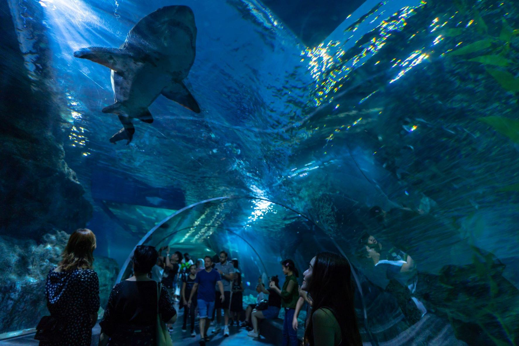 Safari world + Marine Park + lunch on a private basis. (Monday remains closed).
