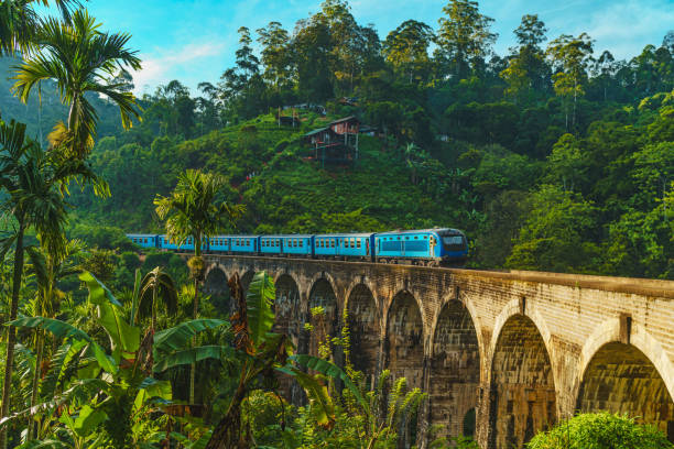 Sri lanka