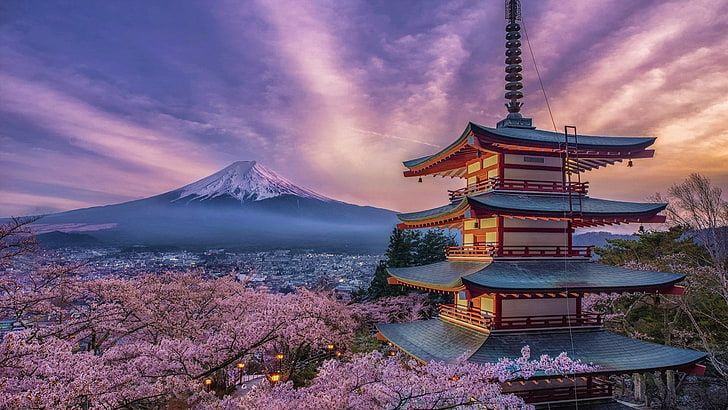 JAPAN – CHERRY BLOSSOM
