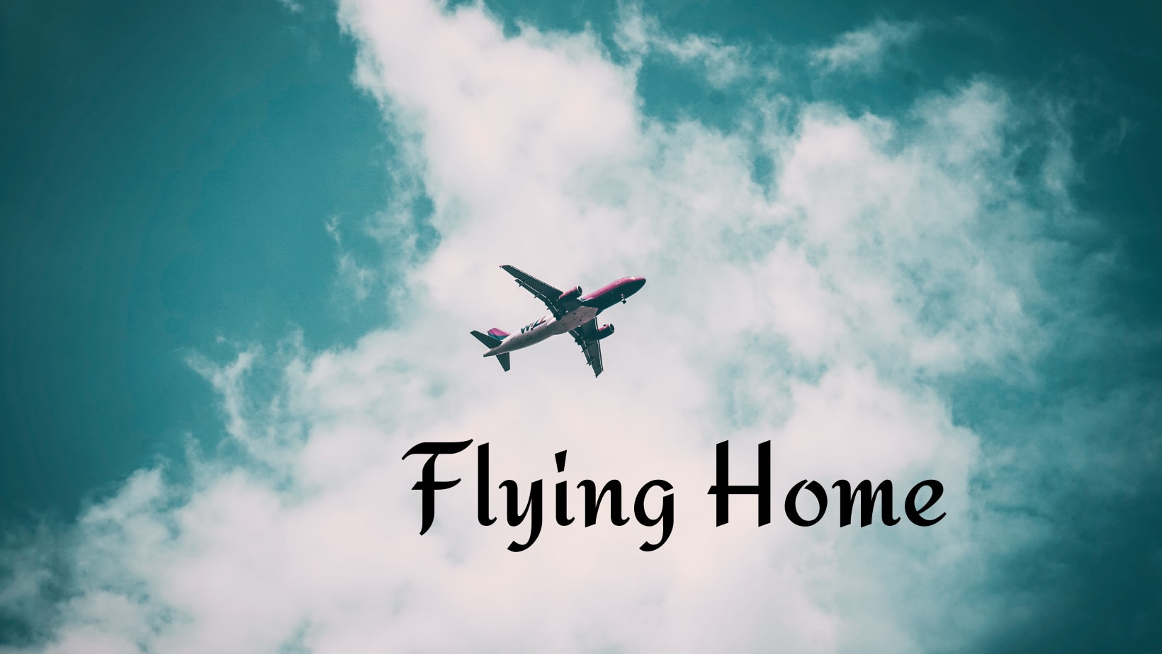 Fly back home