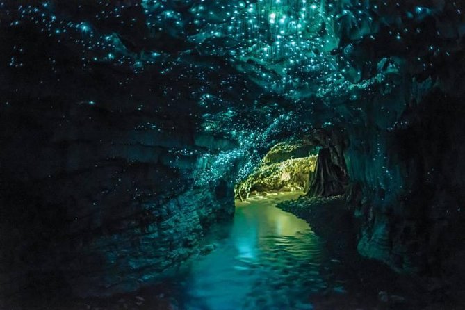 Auckland – Waitomo (3hrs) – National Park (3hrs)
