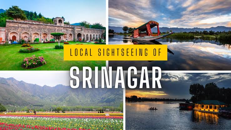 Srinagar Local Sightseeing