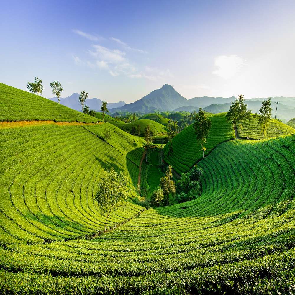 Wayanad – Coorg (120 km/04 Hrs)