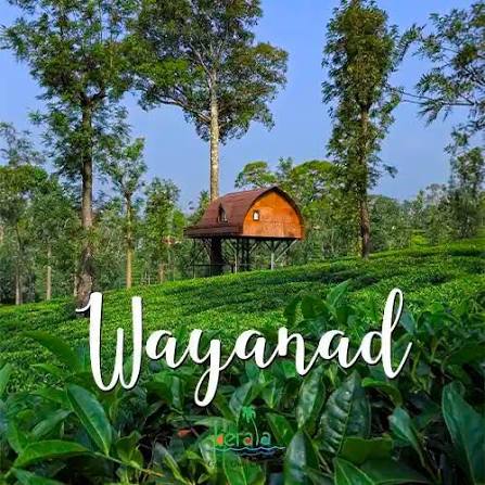 Wayanad Local Sightseen