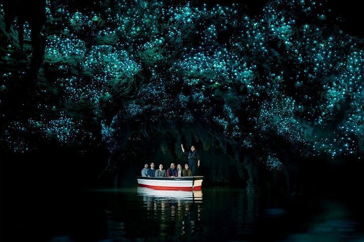 Waitomo Glowworm Caves + Whaka Village Guided Tour
