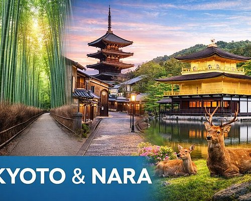 Nara & Kyoto Sightseeing
