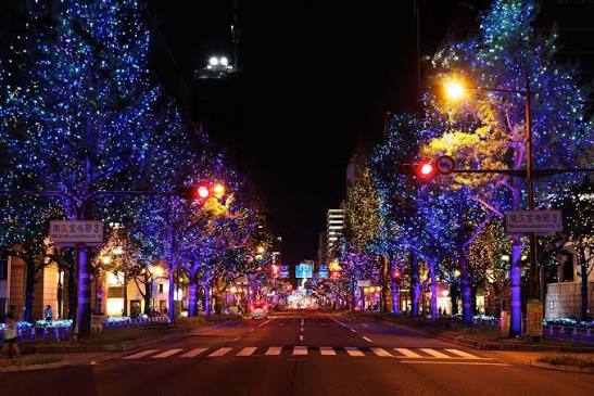 Osaka City Highlights
