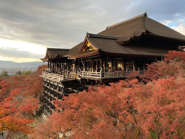 Kyoto Heritage Tour & Transfer