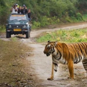 Classical Uttarakhand