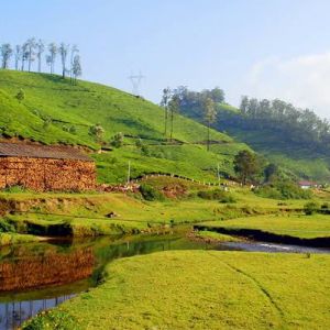 God’S Own Country – “Kerala”